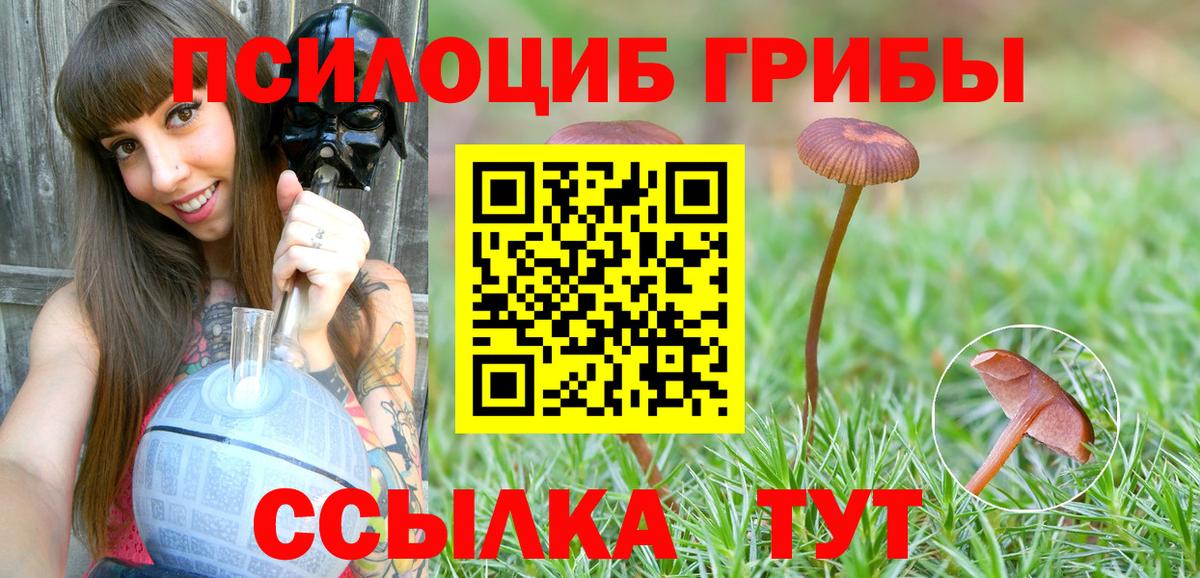 Псилоцибиновые грибы прущие грибы Родники